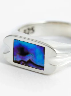 Danny Signet Ring Silver<Maple Sale
