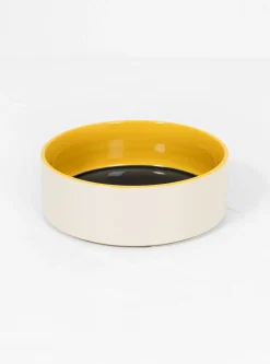 Dog Bowl Blue/Yellow L<Hay New