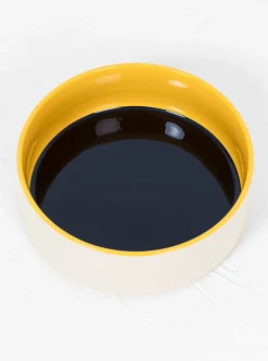 Dog Bowl Blue/Yellow L<Hay New