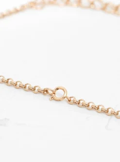 Round Link & Chain Gold-Plated Necklace<Helena Rohner Sale