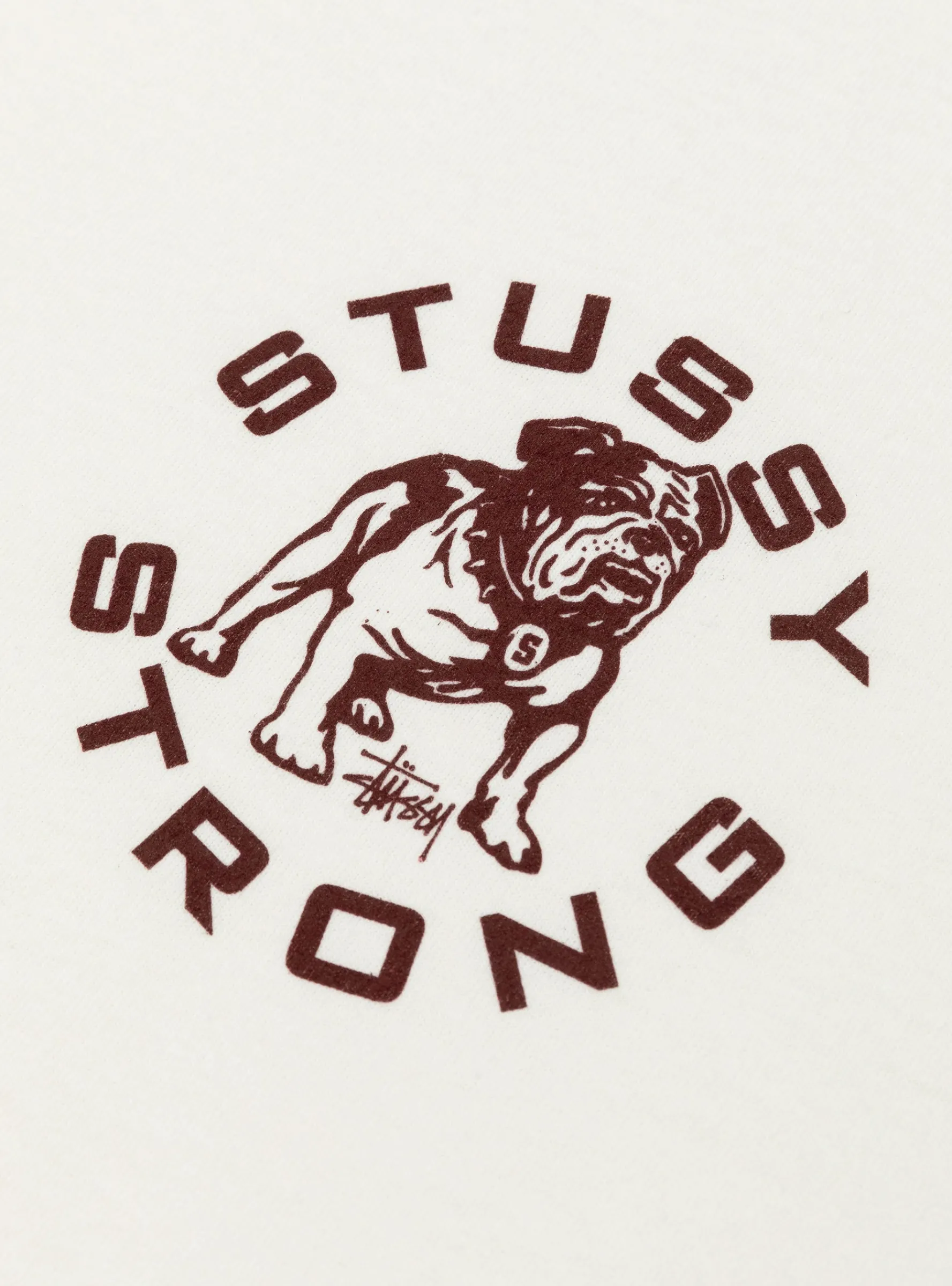 Strong Mac Pig. Dyed Tee Natural<Stüssy Hot
