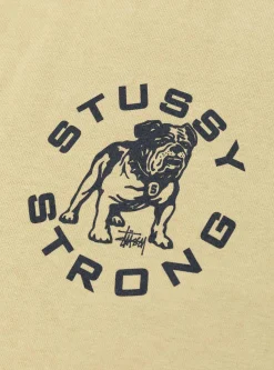 Strong Mac Pigment Dyed Tee Elm<Stüssy Clearance