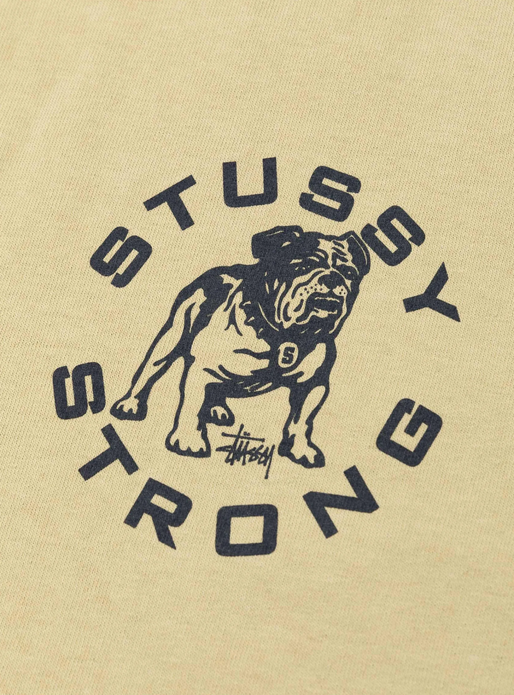 Strong Mac Pigment Dyed Tee Elm<Stüssy Clearance